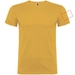 Beagle T-Shirt für Herren-Standskizze4