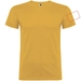 Beagle T-Shirt für Kinder-Standskizze19